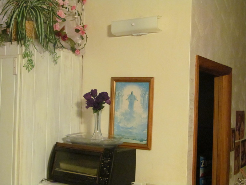Here is the new light above the microwave, turned off.